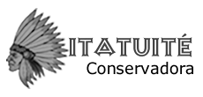 logo-itatuite